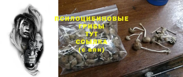 прущий лед Приозерск