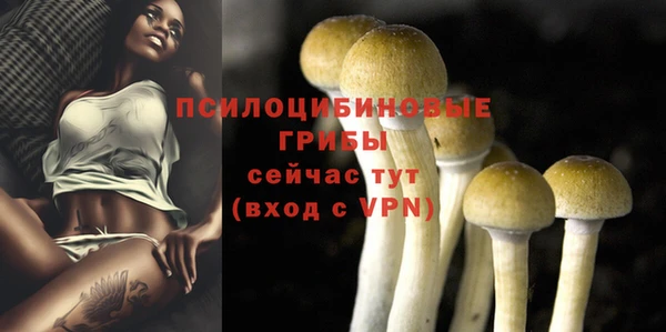 не бодяженный Медвежьегорск
