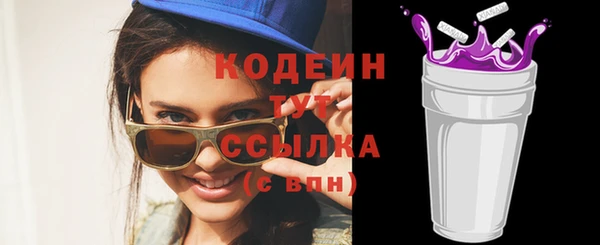 шишки Сатка