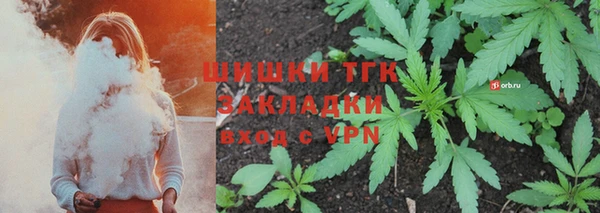 прущие грибы Балабаново