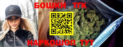 гашик Камышлов