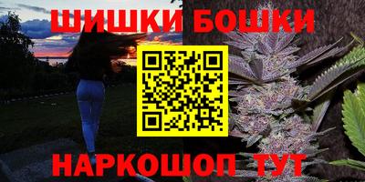 гашик Камышлов