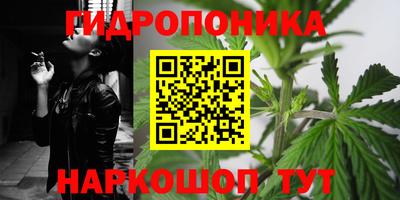 прущая мука Кандалакша