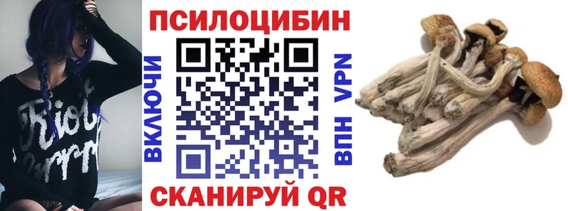 Галлюциногенные грибы Magic Shrooms  гидра как войти  Сухой Лог  как найти закладки 