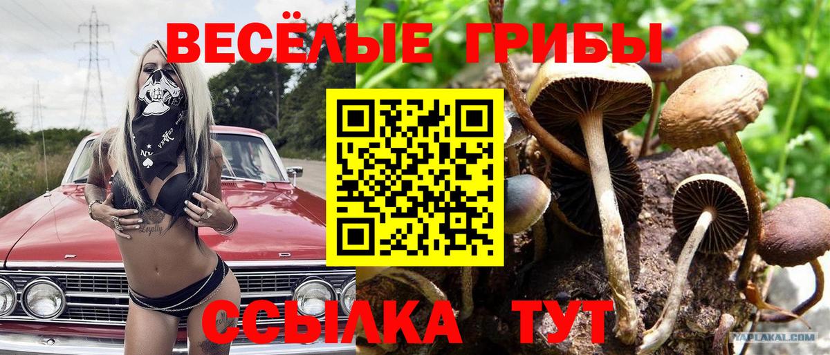 Сухой Лог  Галлюциногенные грибы мухоморы  Вход с VPN 